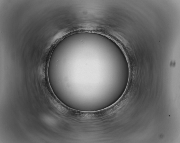 X0000100351451200806130941