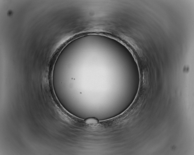 X0000100351452200806130941