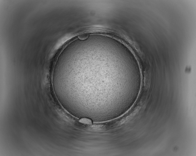 X0000100351453200806130941