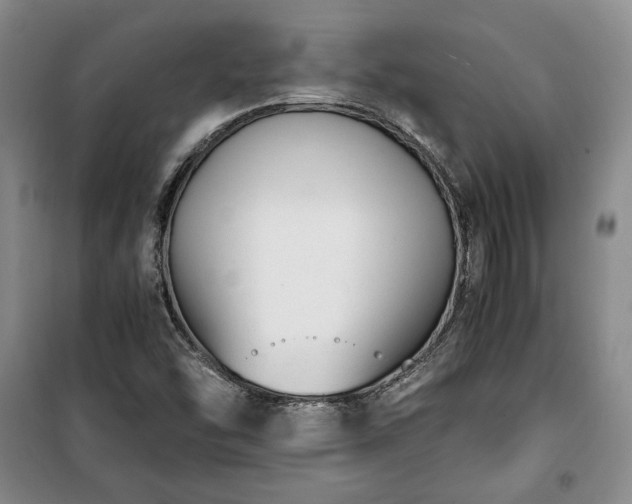 X0000100351454200806130941