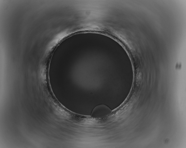 X0000100351455200806130941