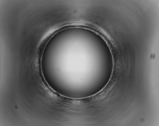 X0000100351456200806130941