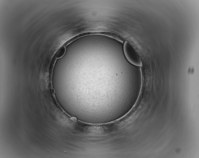 X0000100351457200806130941