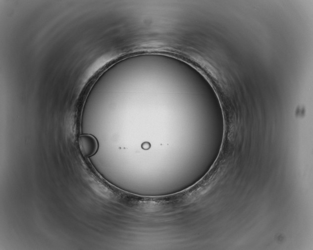 X0000100351458200806130941