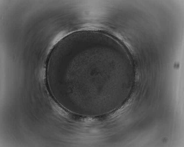 X0000100351459200806130941