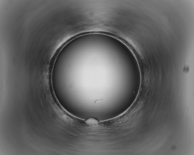 X0000100351460200806130941