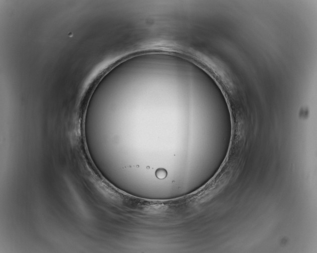 X0000100351462200806130941