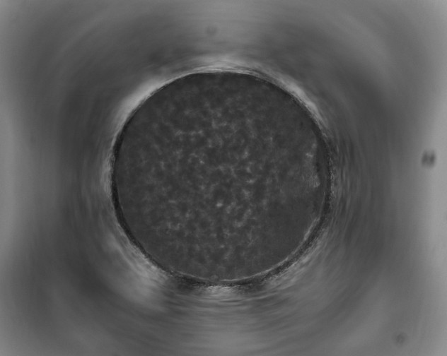 X0000100351463200806130941