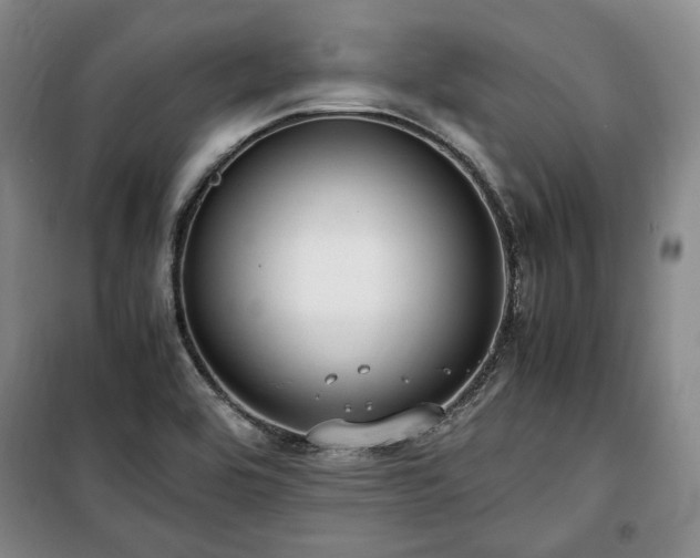 X0000100351464200806130941