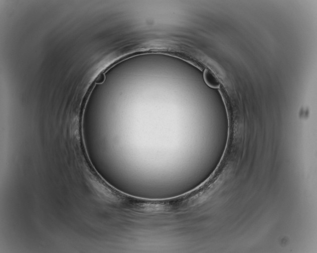 X0000100351465200806130941