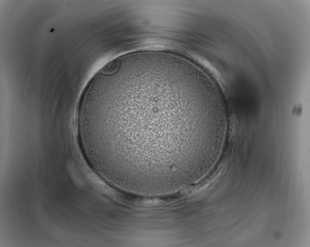 X0000100351467200806130941