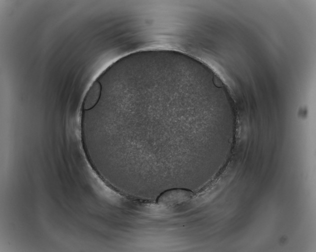 X0000100351468200806130941