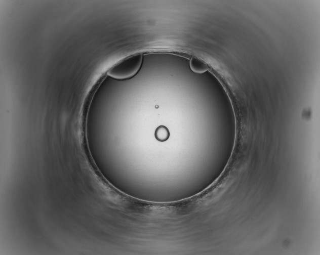 X0000100351469200806130941