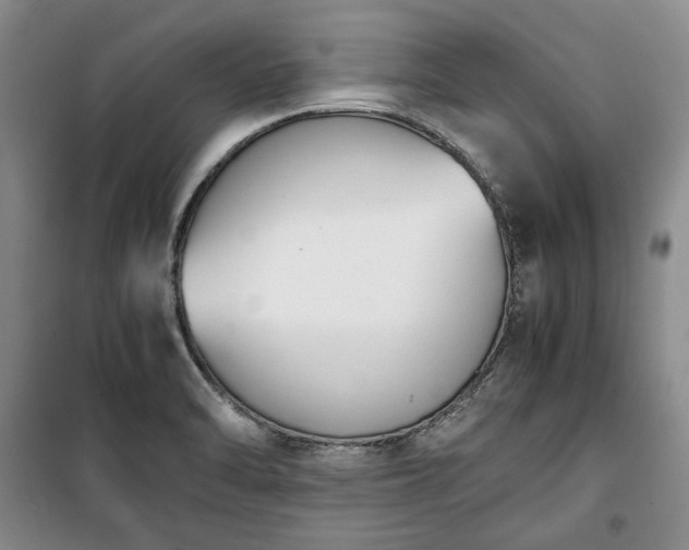 X0000100351470200806130941