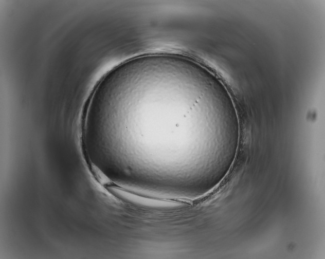 X0000100351471200806130941