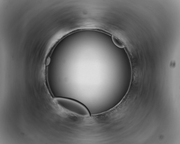 X0000100351472200806130941