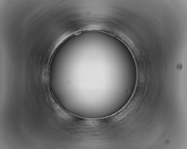 X0000100351473200806130941