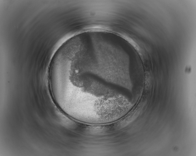 X0000100351474200806130941