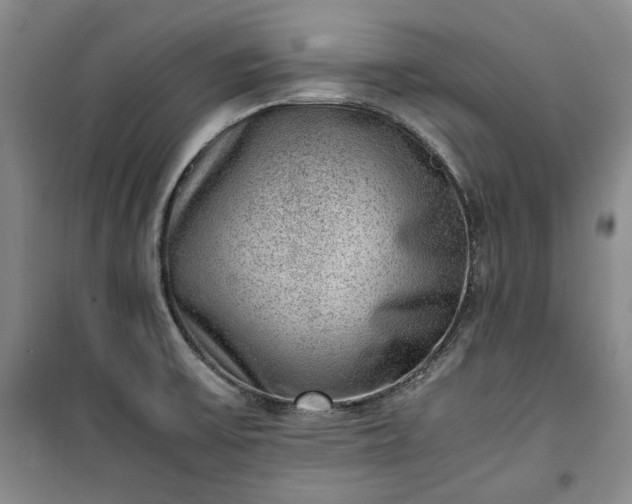 X0000100351475200806130941