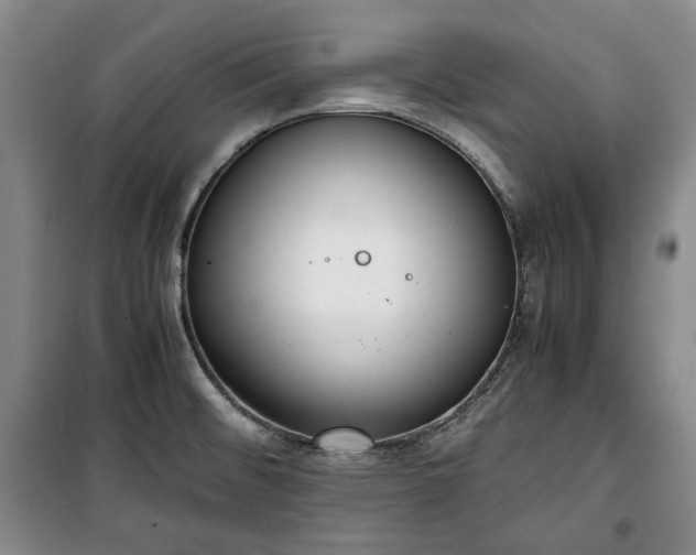 X0000100351476200806130941