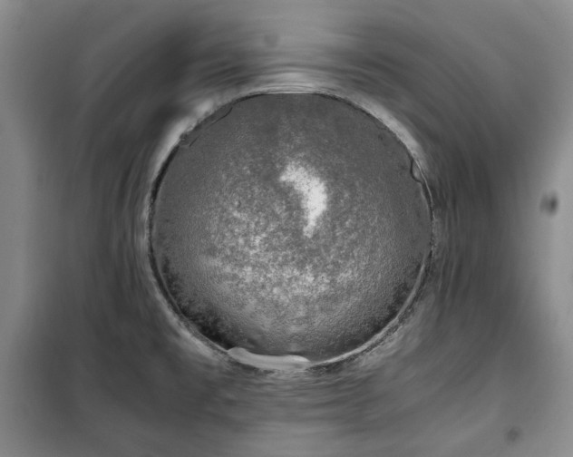 X0000100351477200806130941