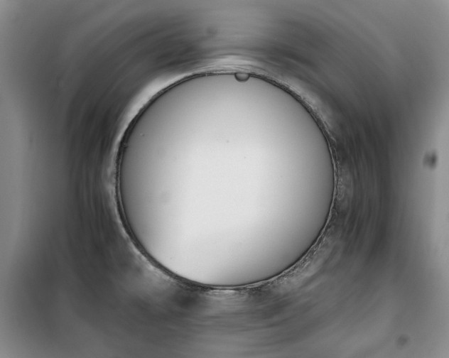 X0000100351478200806130941