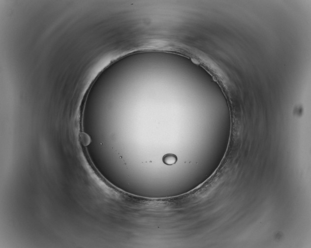 X0000100351479200806130941