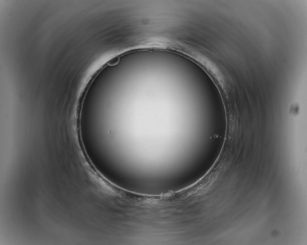 X0000100351480200806130941