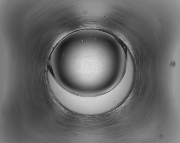 X0000100351481200806130941