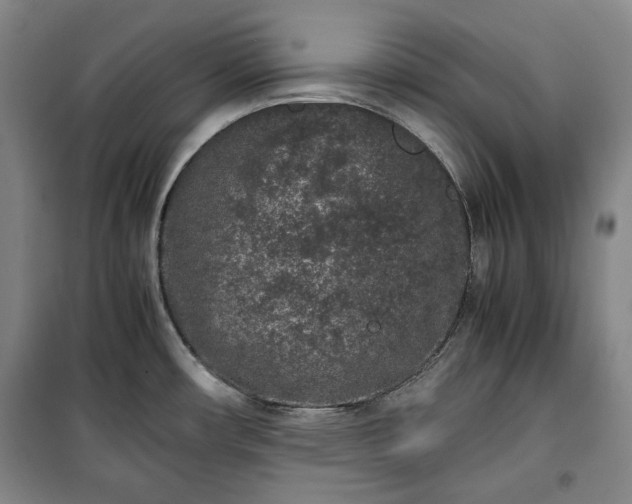 X0000100351482200806130941