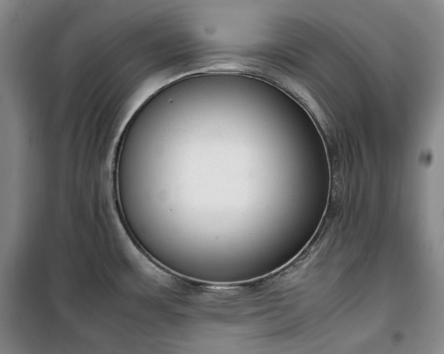 X0000100351483200806130941