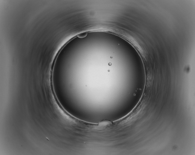 X0000100351484200806130941