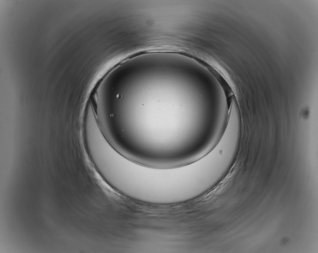X0000100351485200806130941
