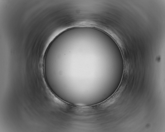 X0000100351486200806130941