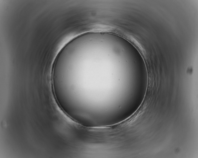 X0000100351487200806130941