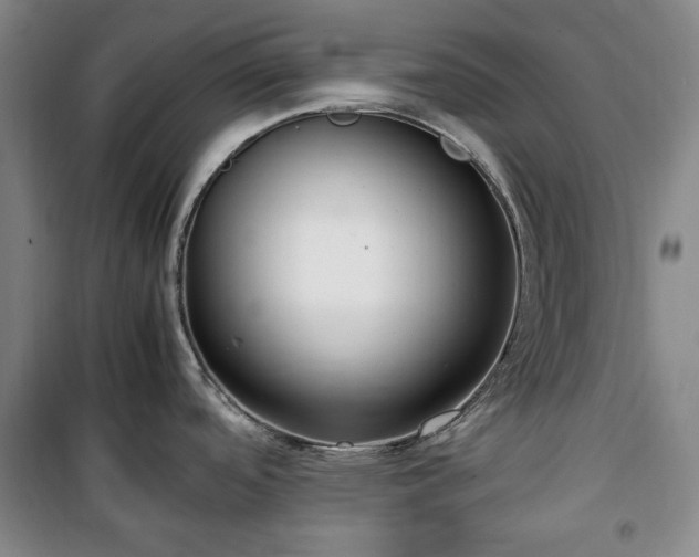 X0000100351488200806130941