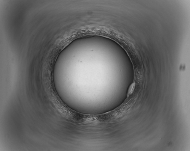 X0000100351489200806130940