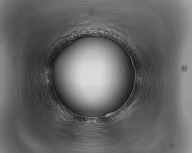 X0000100351490200806130940