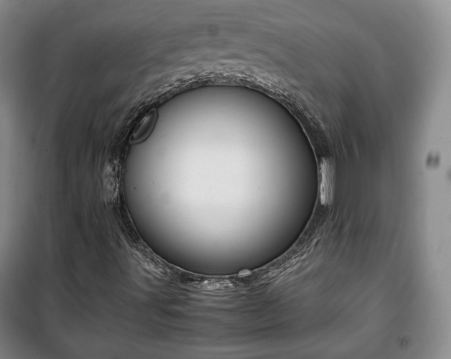 X0000100351491200806130940
