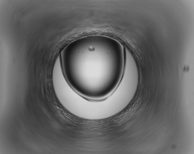 X0000100351492200806130940