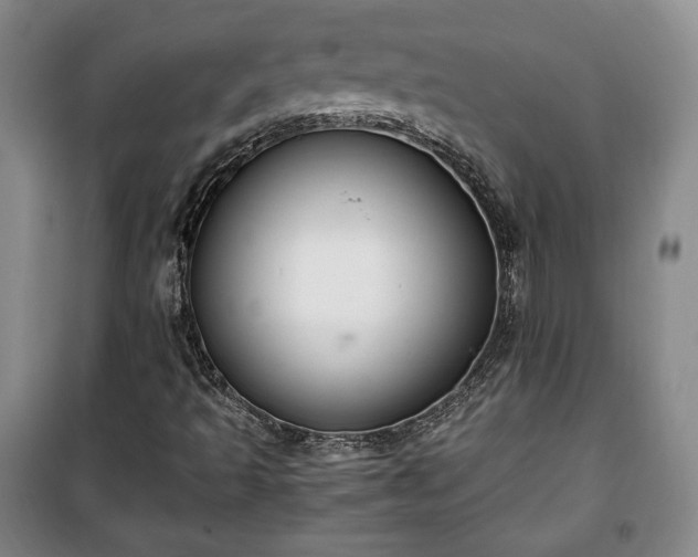 X0000100351493200806130940