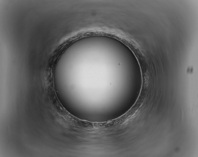 X0000100351494200806130940