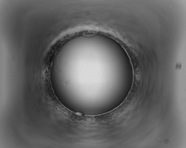 X0000100351495200806130940