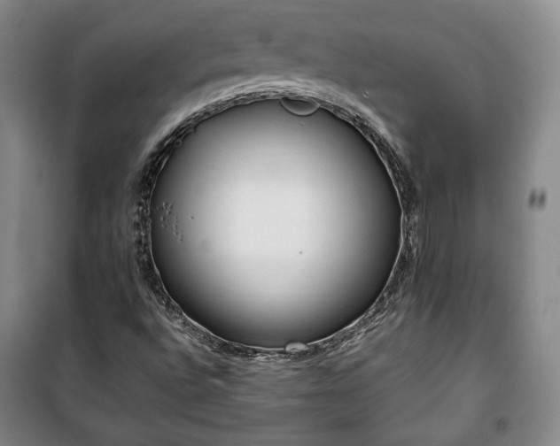 X0000100351496200806130940