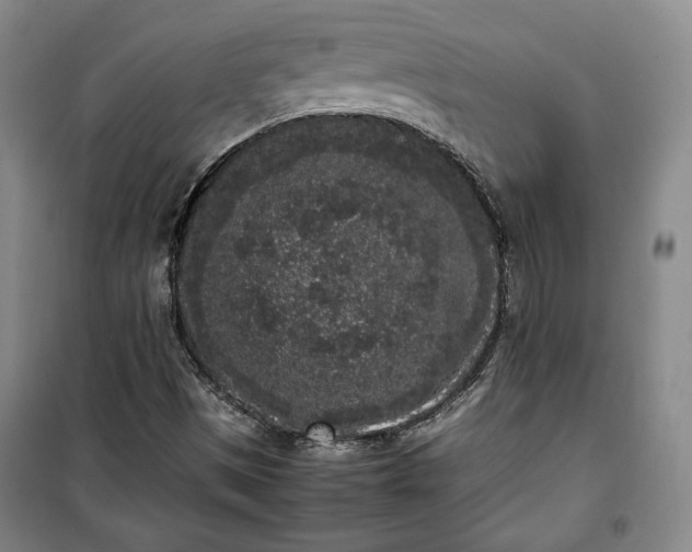 X0000100351497200806130940
