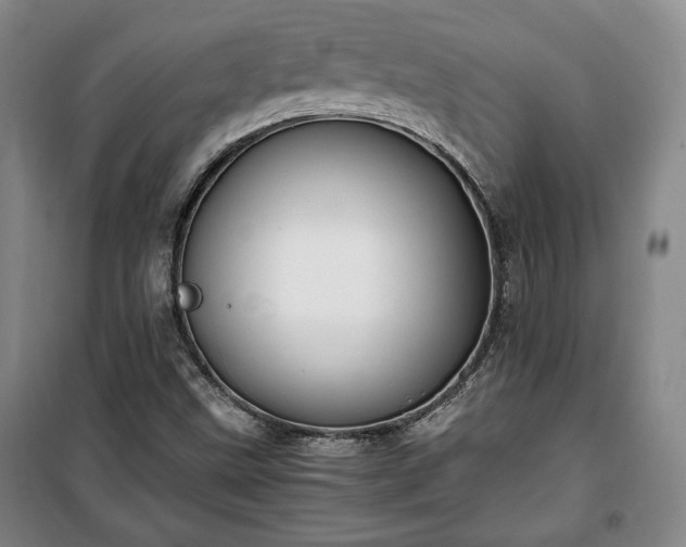 X0000100351499200806130940