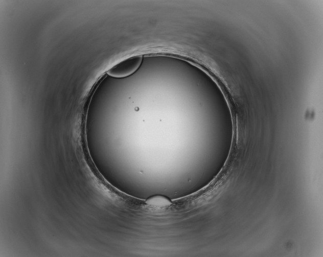 X0000100351500200806130940