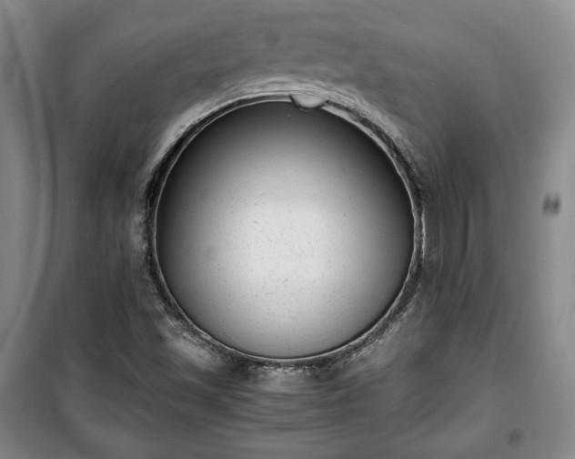 X0000100351501200806130940