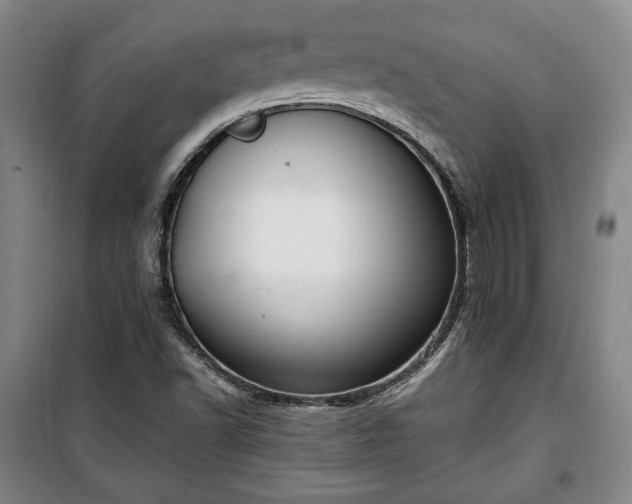 X0000100351502200806130940