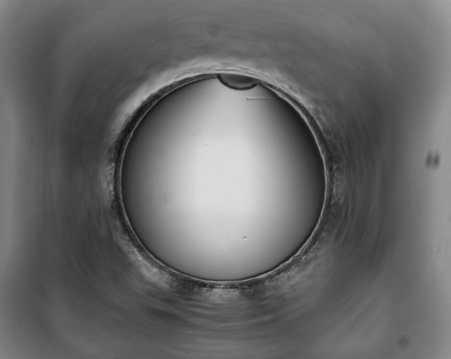 X0000100351503200806130940